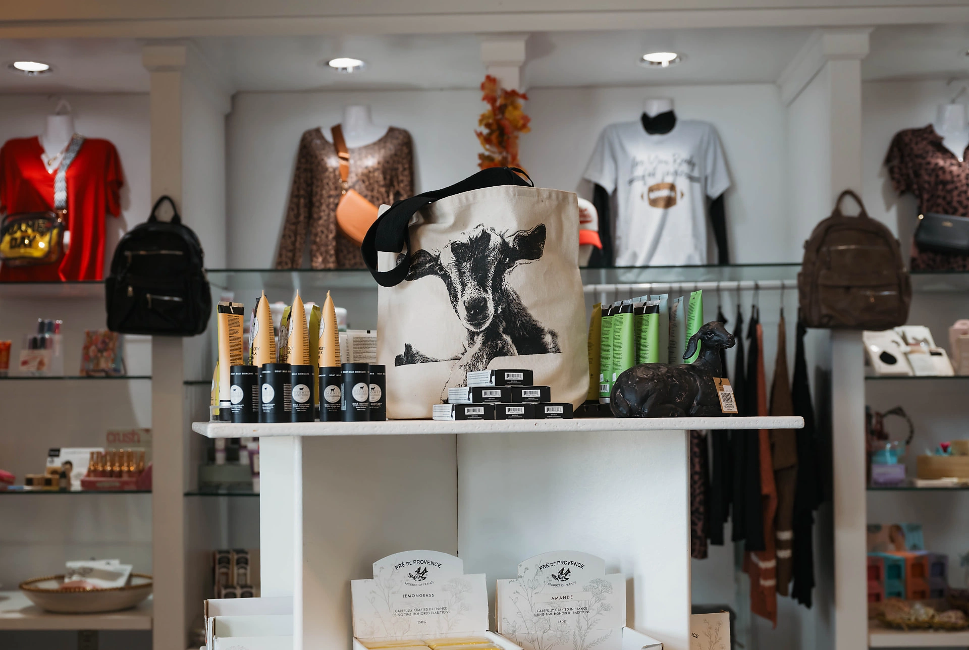 Dionis Goat Milk Skincare, apparel, handbags, and accessories in the Dandurand boutique